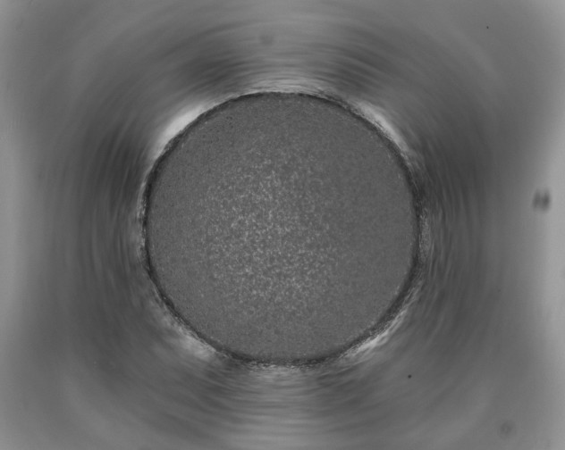 X0000090501071200707201541