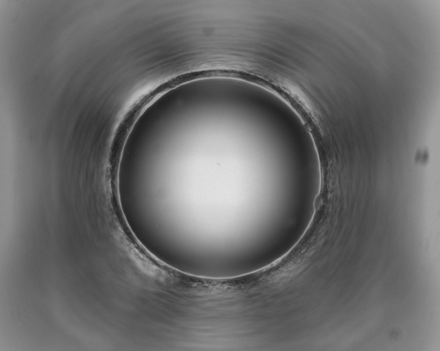 X0000090501072200707201541