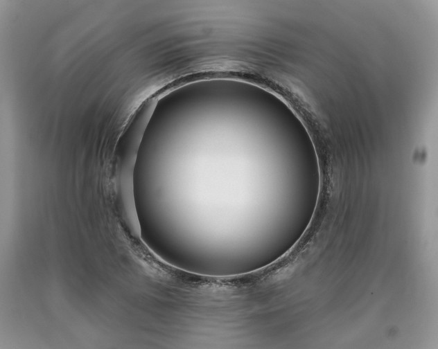X0000090501073200707201541