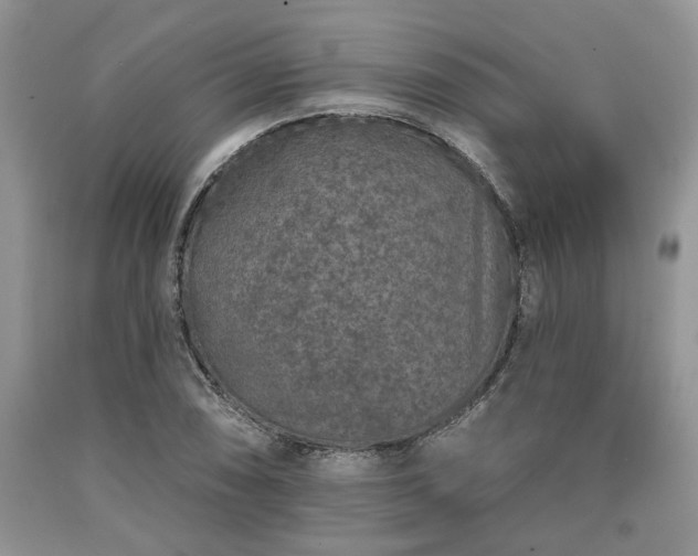 X0000090501074200707201541