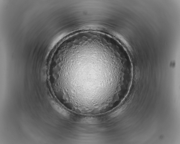 X0000090501075200707201541