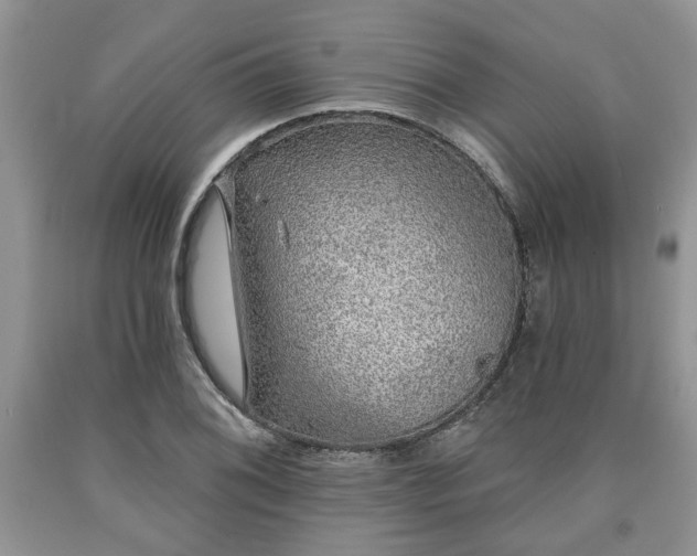 X0000090501076200707201541