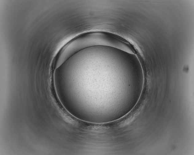 X0000090501077200707201541