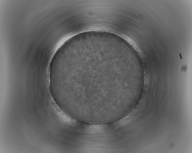 X0000090501078200707201541