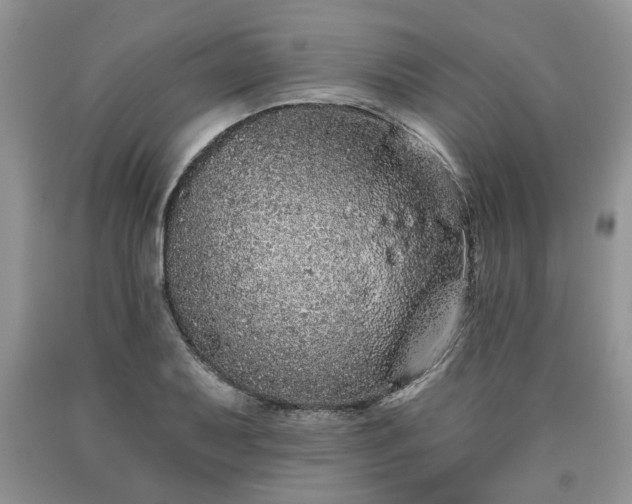 X0000090501079200707201541