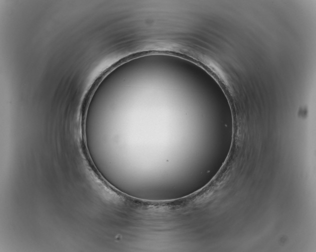 X0000090501080200707201541