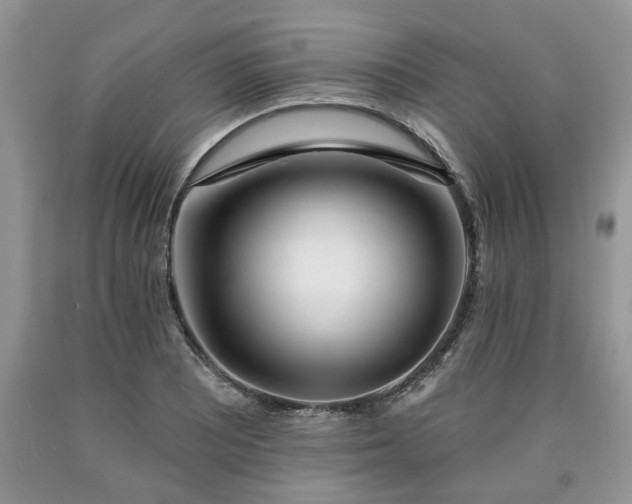 X0000090501081200707201541