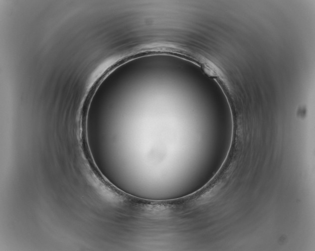 X0000090501082200707201541