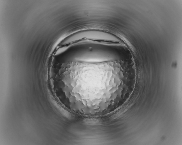 X0000090501083200707201541