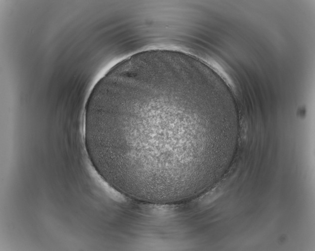 X0000090501084200707201541