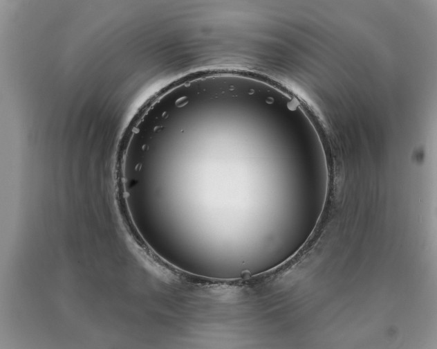 X0000090501085200707201541