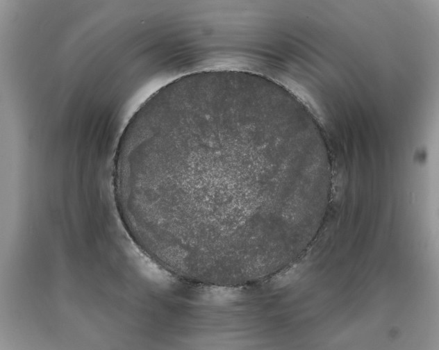 X0000090501086200707201541