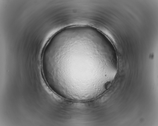 X0000090501088200707201541