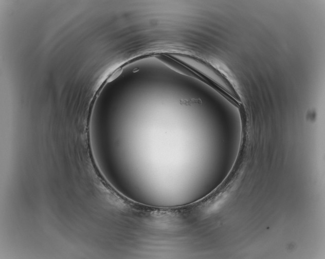 X0000090501089200707201541