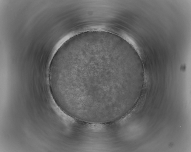 X0000090501090200707201541