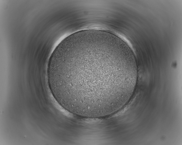 X0000090501091200707201541