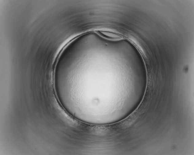 X0000090501092200707201541