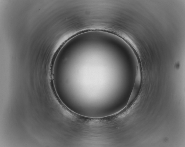 X0000090501093200707201541