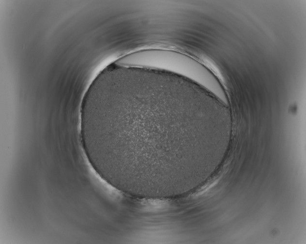 X0000090501095200707201541