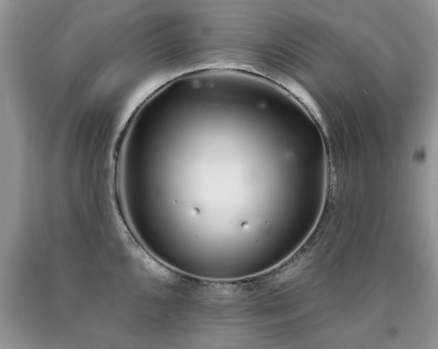X0000090501096200707201541