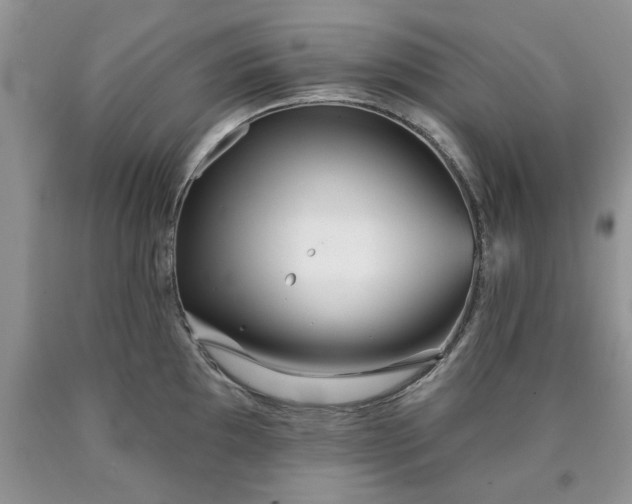 X0000090501097200707201541