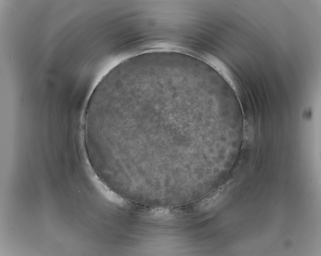 X0000090501098200707201541