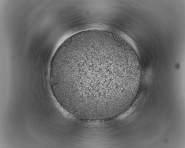 X0000090501099200707201541