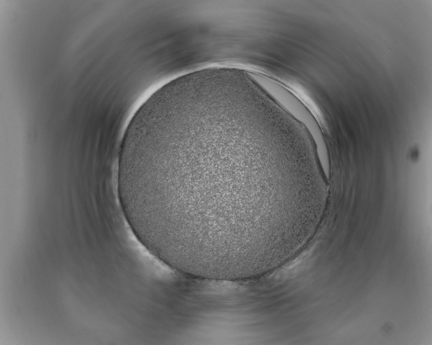 X0000090501100200707201541
