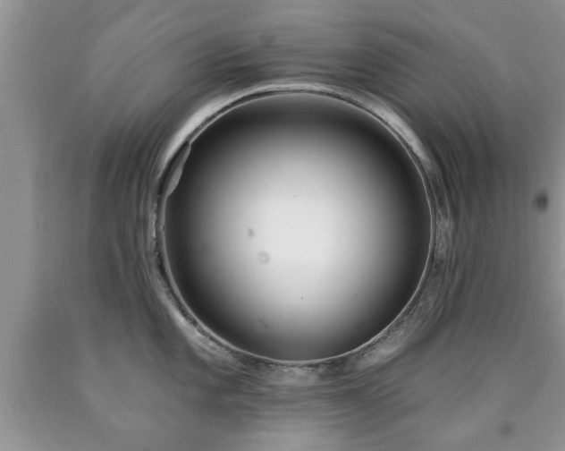 X0000090501101200707201541