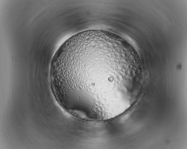 X0000090501103200707201541