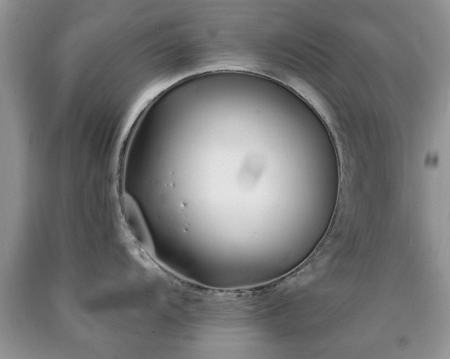 X0000090501104200707201541