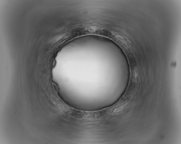 X0000090501105200707201540