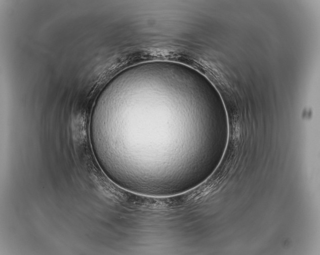X0000090501106200707201540