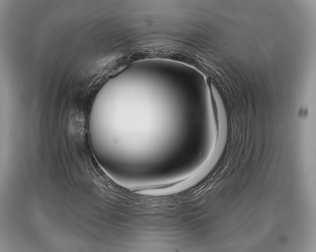 X0000090501108200707201540