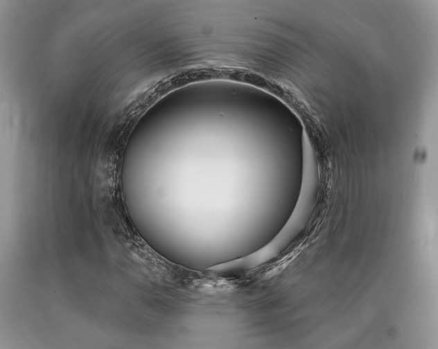 X0000090501110200707201540