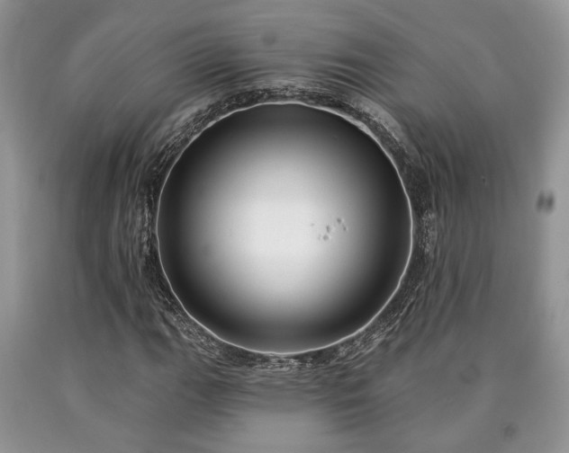 X0000090501111200707201540