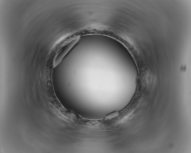 X0000090501112200707201540