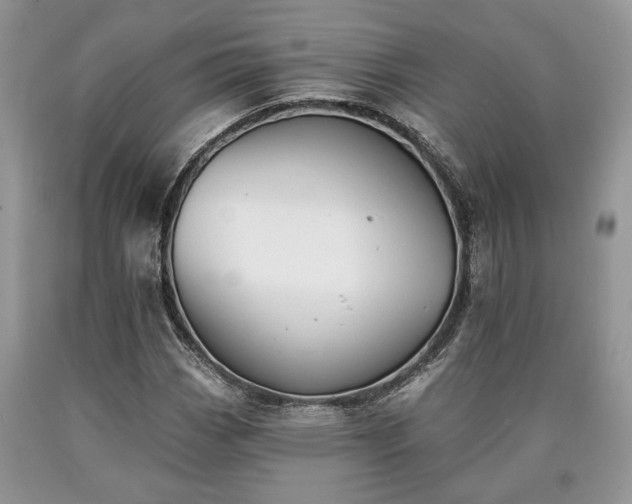 X0000090501113200707201540