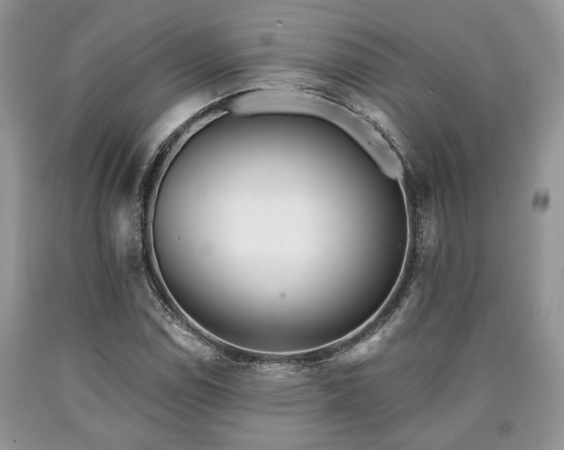 X0000090501114200707201540