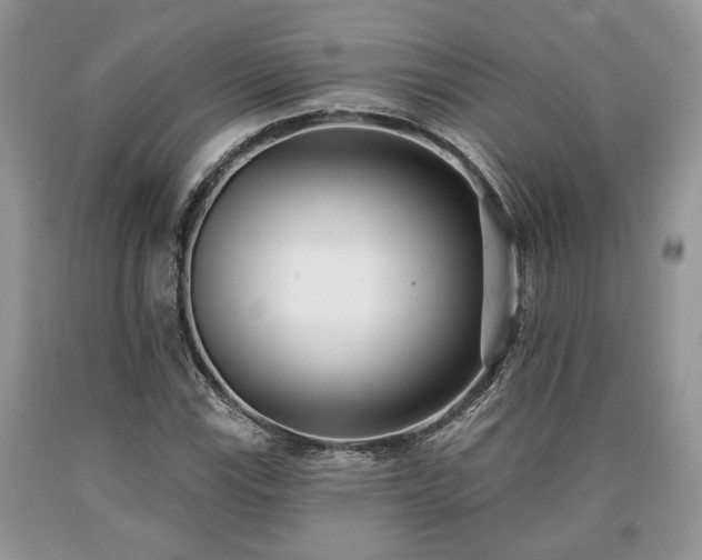 X0000090501115200707201541