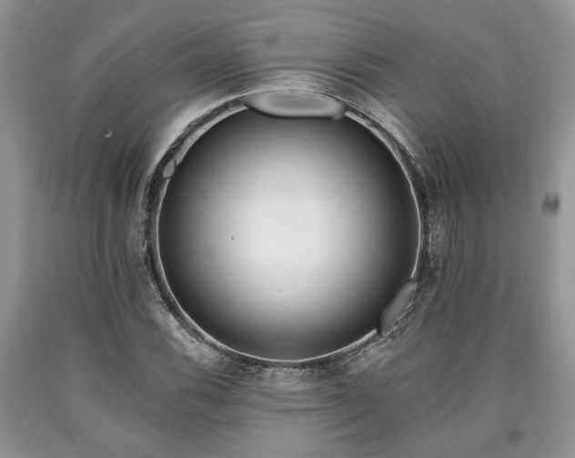 X0000090501116200707201541