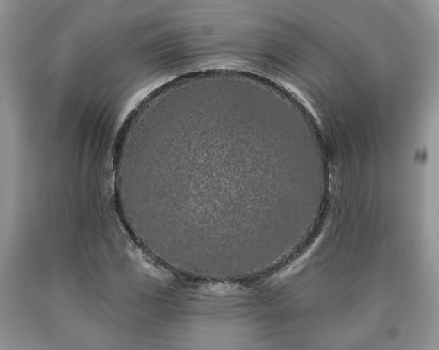 X0000090501117200707201541