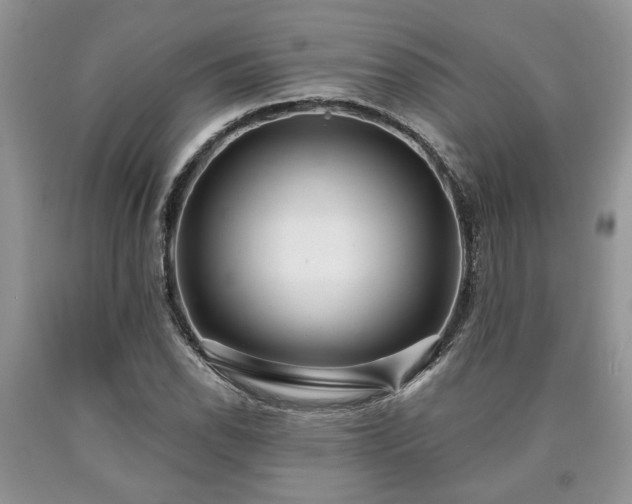 X0000090501118200707201541