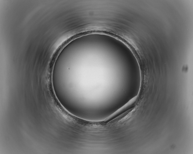 X0000090501119200707201541