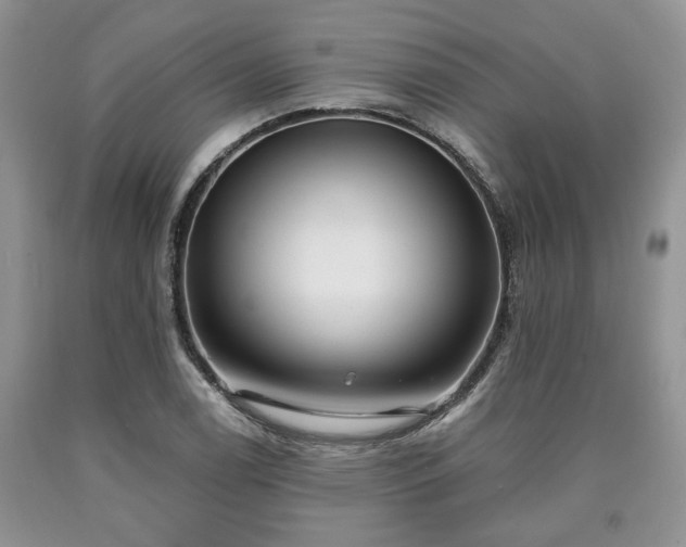 X0000090501122200707201541