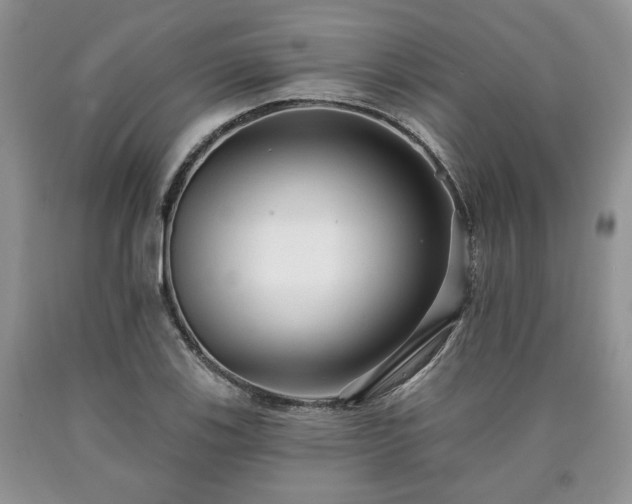X0000090501123200707201541