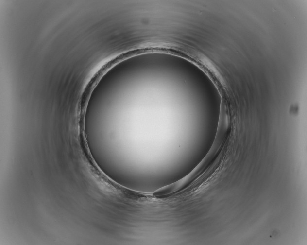 X0000090501124200707201541