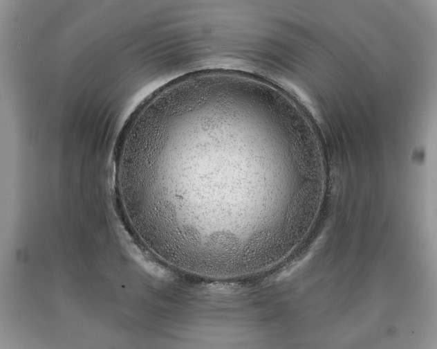X0000090501125200707201541