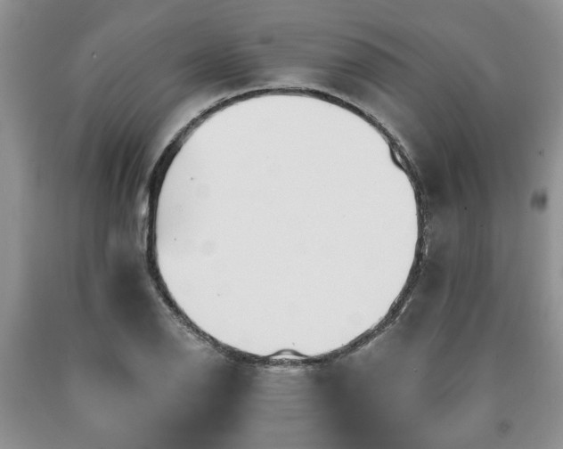 X0000090501126200707201541