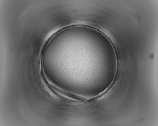 X0000090501127200707201541
